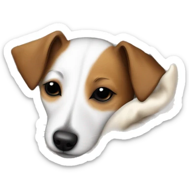 Jack Russell  terrier sleeping cozy in blanket  sticker