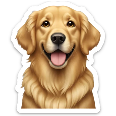 Un golden retriever dolcissimo sticker