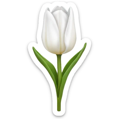White tulip sticker