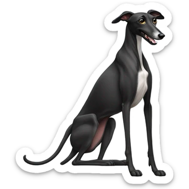 Black greyhound sleeping on back  sticker