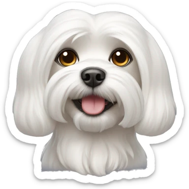 Maltese dogs  sticker