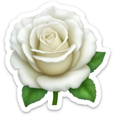 Rose blanche  sticker