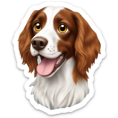 Long hair Brittany spaniel with spots sticker