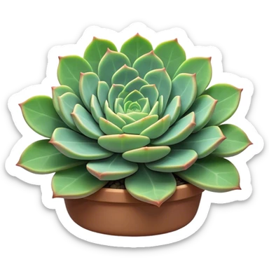 Cinematic Realistic Succulent Emoji, Compact and plump, with fleshy leaves arranged in rosettes of various shapes. The soft, green leaves glow with a gentle radiance, exuding a sense of calm and tranquility. Soft glowing outline, capturing the essence of resilience and beauty in a blossoming succulent! sticker