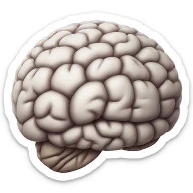 brain with no wrinkles sticker