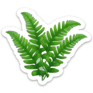 Ferns sticker