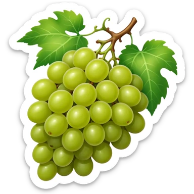 single grape sticker