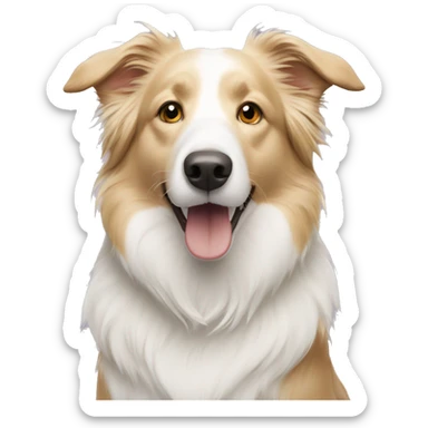 Blonde and white border collie  sticker