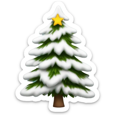  actual white fir christmas tree isolated.  sticker