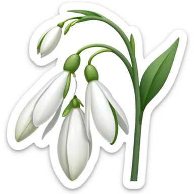 snowdrop flower sticker
