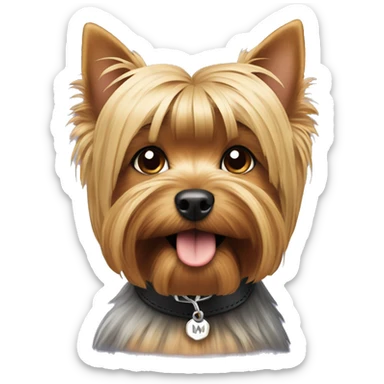 Yorkshire terrier with a collar that says N and M sticker