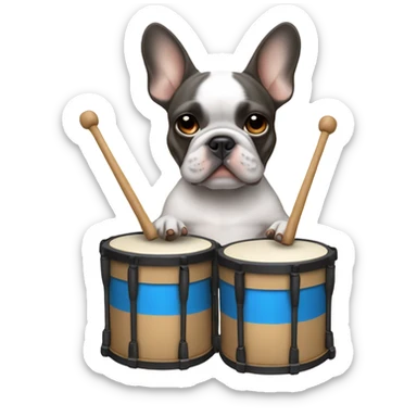 blue and tan french bulldog holding drumming sticker