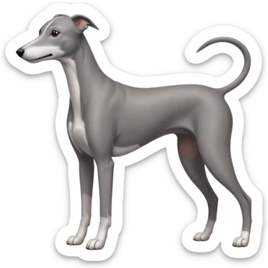 greyhound sticker