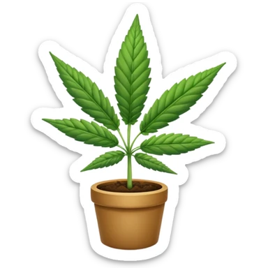 cannabise sticker