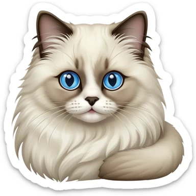 Seal point ragdoll cat sticker