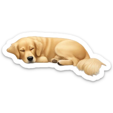golden retriever sleeping on a white couch sticker