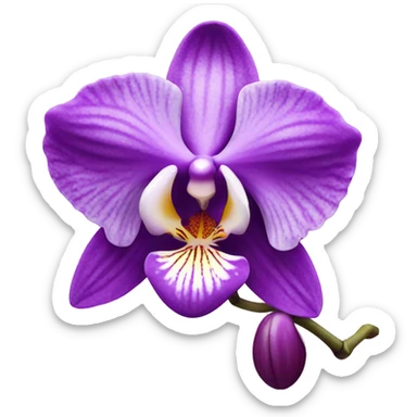 orchid  sticker