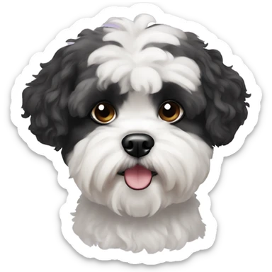 black and white shih-poo dog with white eyebrows sticker