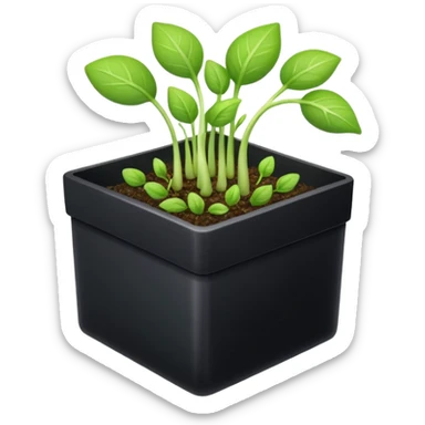 aromatic sprouts black box sticker