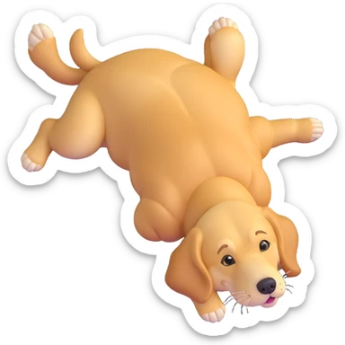 realistic golden retriever laying down, belly up, four legs in the air sticker
