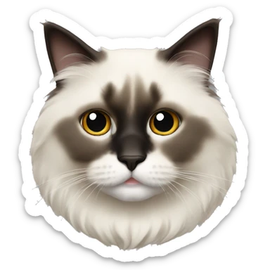 Ragdoll cat with full dark face sticker