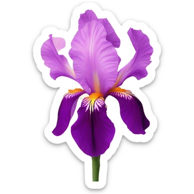 pink iris flower sticker
