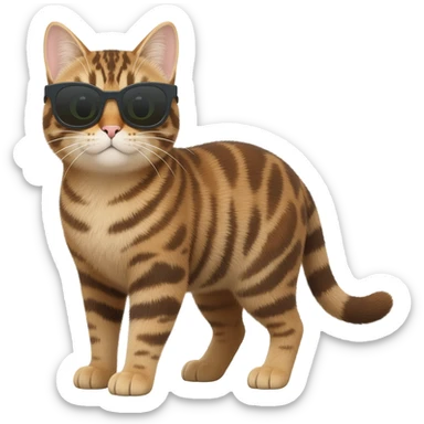 Cat wearing sunglasses sticker
