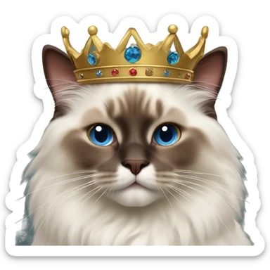 Chocolate point ragdoll cat with a king crown sticker