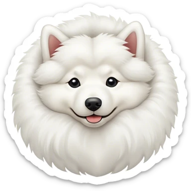 
Samoyed lies upside down sticker