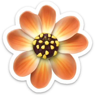 coquina flower sticker