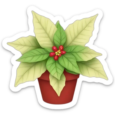 Poinsettia sticker