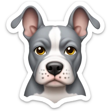 grey pocket bully with ears flappy sticker