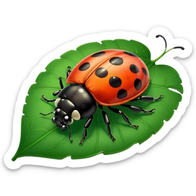  cute green lady bug sticker