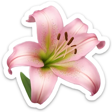 Pink lilies flowers sticker