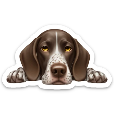 german shorthaired pointer falling asleep sticker