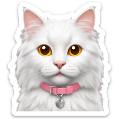 fluffy white cat with orange spots wearing a pink collar sticker