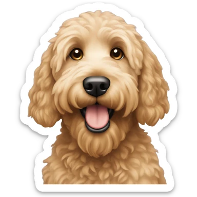 Goldendoodle  sticker