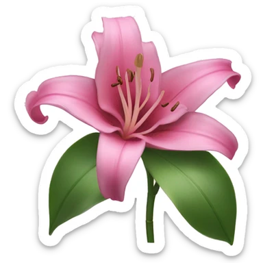 pink lilly flower  sticker