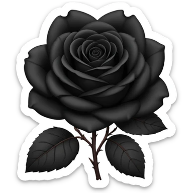 black rose, without green leaves, just flower sticker