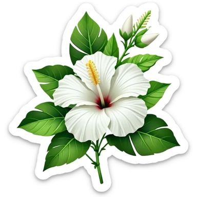 bouquet white Hawaiian hibiscus, luxuriant, stem, leaf, bud sticker