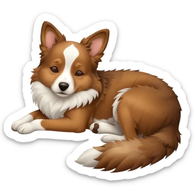 собака породи ауссі спить sticker