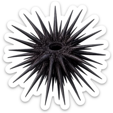 Add realistic purple and dark colors to the sea urchin, keep the dangerous spikes and realistic shape, with a transparent background. Maintain the natural and realistic appearance of the sea urchin's spikes and overall form. sticker