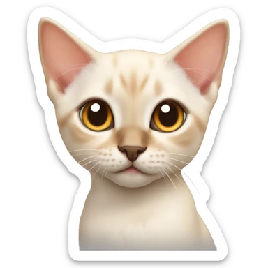 Flame point Siamese kitten sticker
