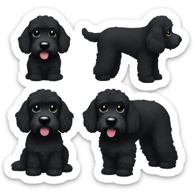 A black bernadoodle dog, black face sticker