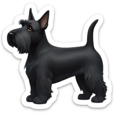 Scottish terrier bum sticker