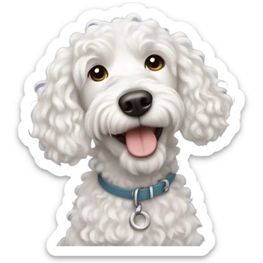 Curly haired white doodle dog sticker
