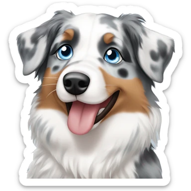 Blue Merle Australian shepherd with blue eyes sticker