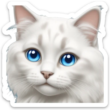 Ragdoll white cat with blue eyes sticker