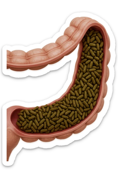 batteri intestinali in un tratto di colon anatomico umano, iperrealistico 4k sticker