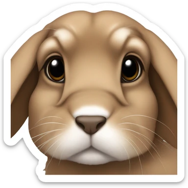 brown holland lop bunny sticker